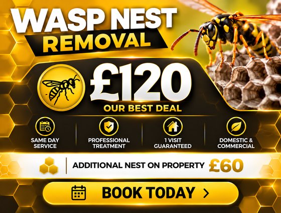 Wasp nest removal £120, same day service, 1 visit guaranteed, domestic and commercial, additional nest on property £60
