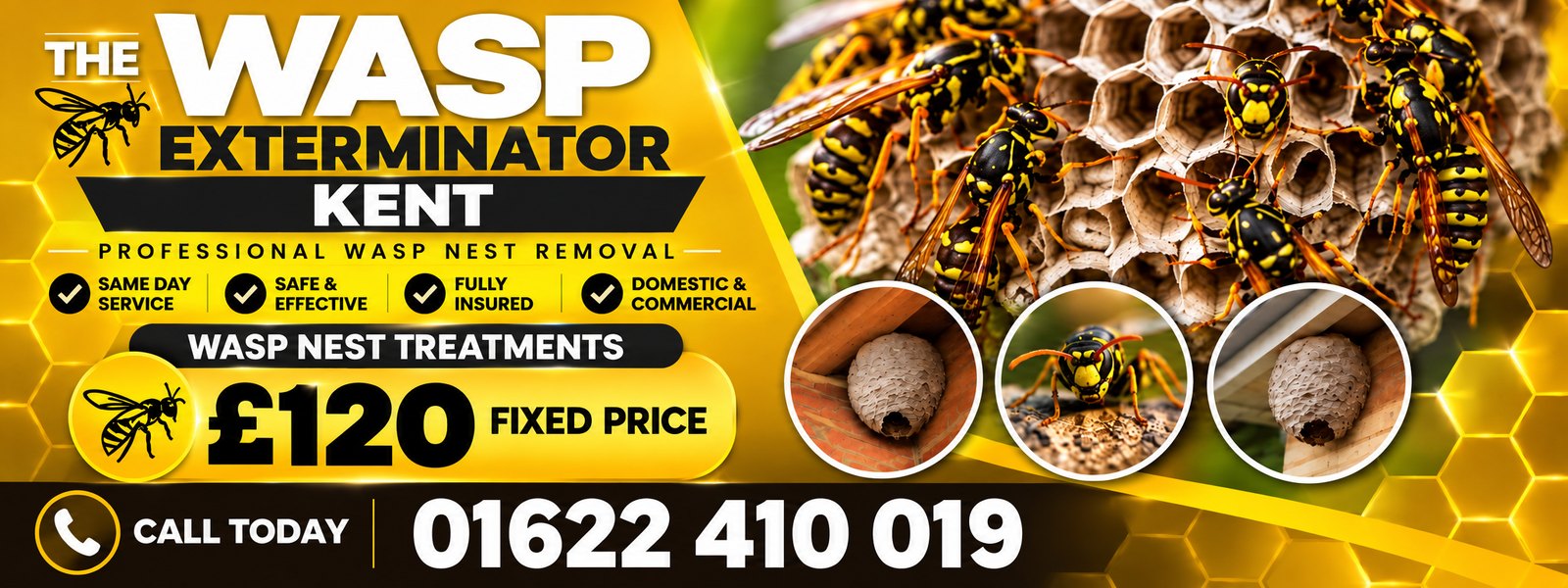 Wasp Exterminator Kent, professional wasp nest removal, same day service, £120 fixed price, call 01622 410 019
